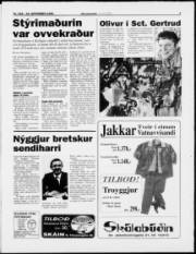 Síða 3