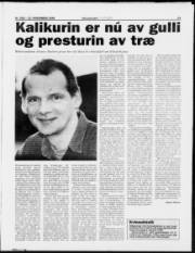Síða 11
