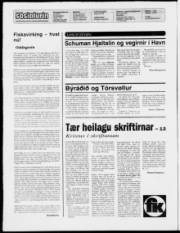 Síða 2