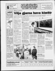 Síða 20