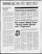 Síða 2