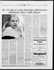 Síða 17