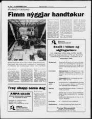 Síða 3