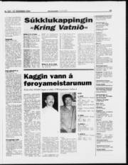 Síða 15