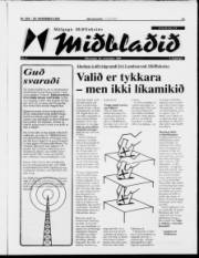 Síða 11
