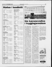 Síða 15