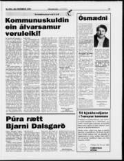 Síða 17