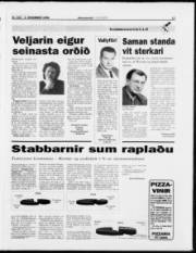 Síða 17
