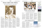 Síða 15