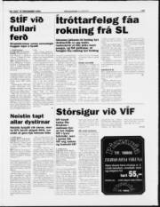Síða 19