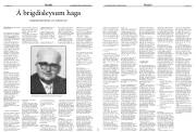 Síða 17