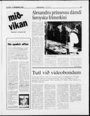 Síða 11