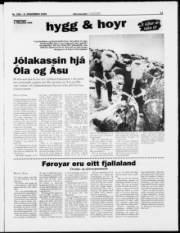 Síða 11