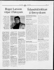 Síða 17