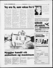 Síða 11