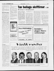 Síða 13