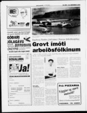 Síða 6