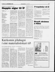 Síða 13