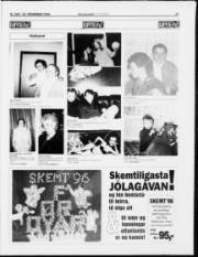 Síða 17
