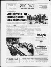 Síða 20