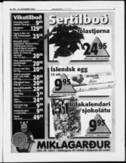 Síða 3