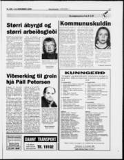 Síða 17