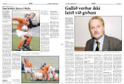 Síða 11