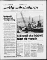 Síða 13