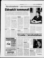Síða 16
