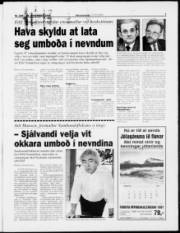 Síða 7