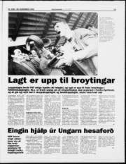Síða 19