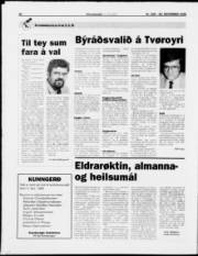 Síða 20
