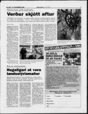 Síða 3