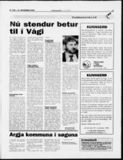 Síða 11
