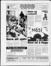 Síða 24