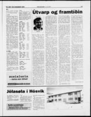 Síða 19