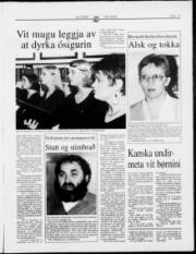 Síða 13
