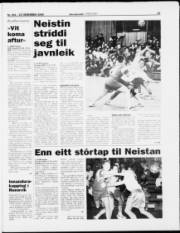 Síða 19