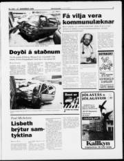 Síða 3