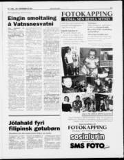 Síða 19