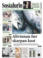 Síða 1