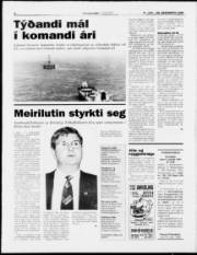 Síða 8