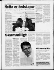 Síða 3