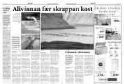Síða 4