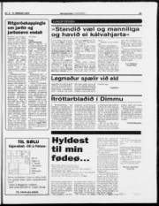 Síða 15