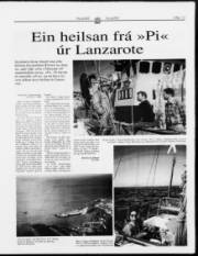 Síða 13
