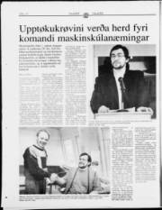Síða 16