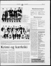 Síða 17