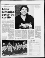 Síða 15