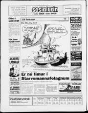 Síða 24